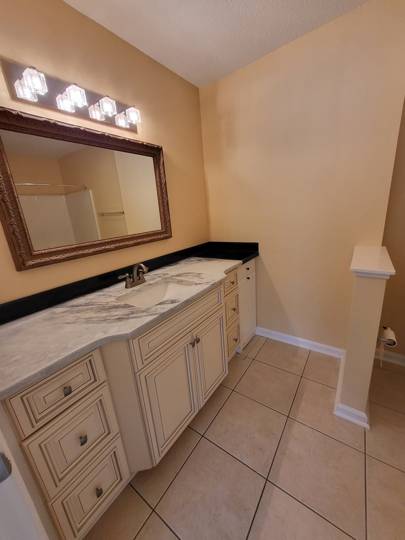 Primary bathroom suite - 4910 Windsor Green Way