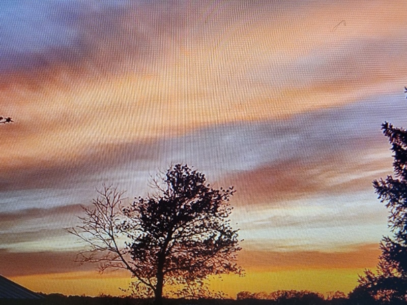 Building Photo - 7049 Lake Ave