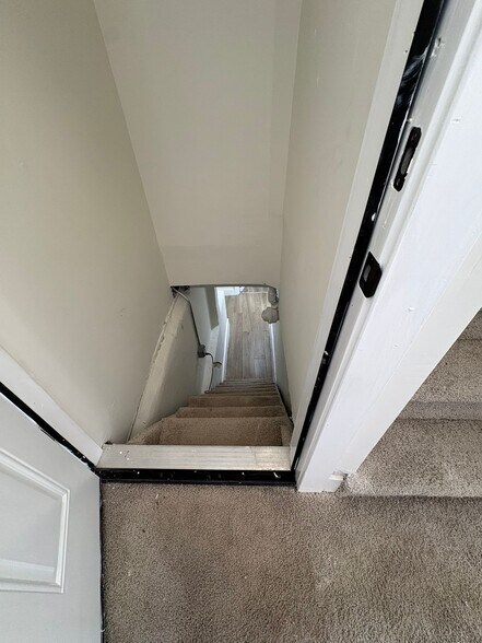 Basement - 49 Rosehill Pl