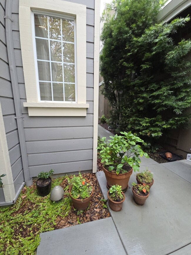 Building Photo - 10 Gregory Pl