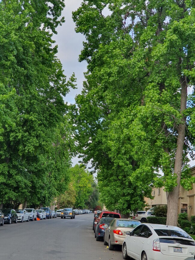 Street view - 20202 Cohasset St