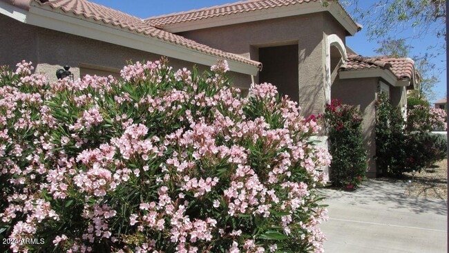 Building Photo - 3332 N Sunaire