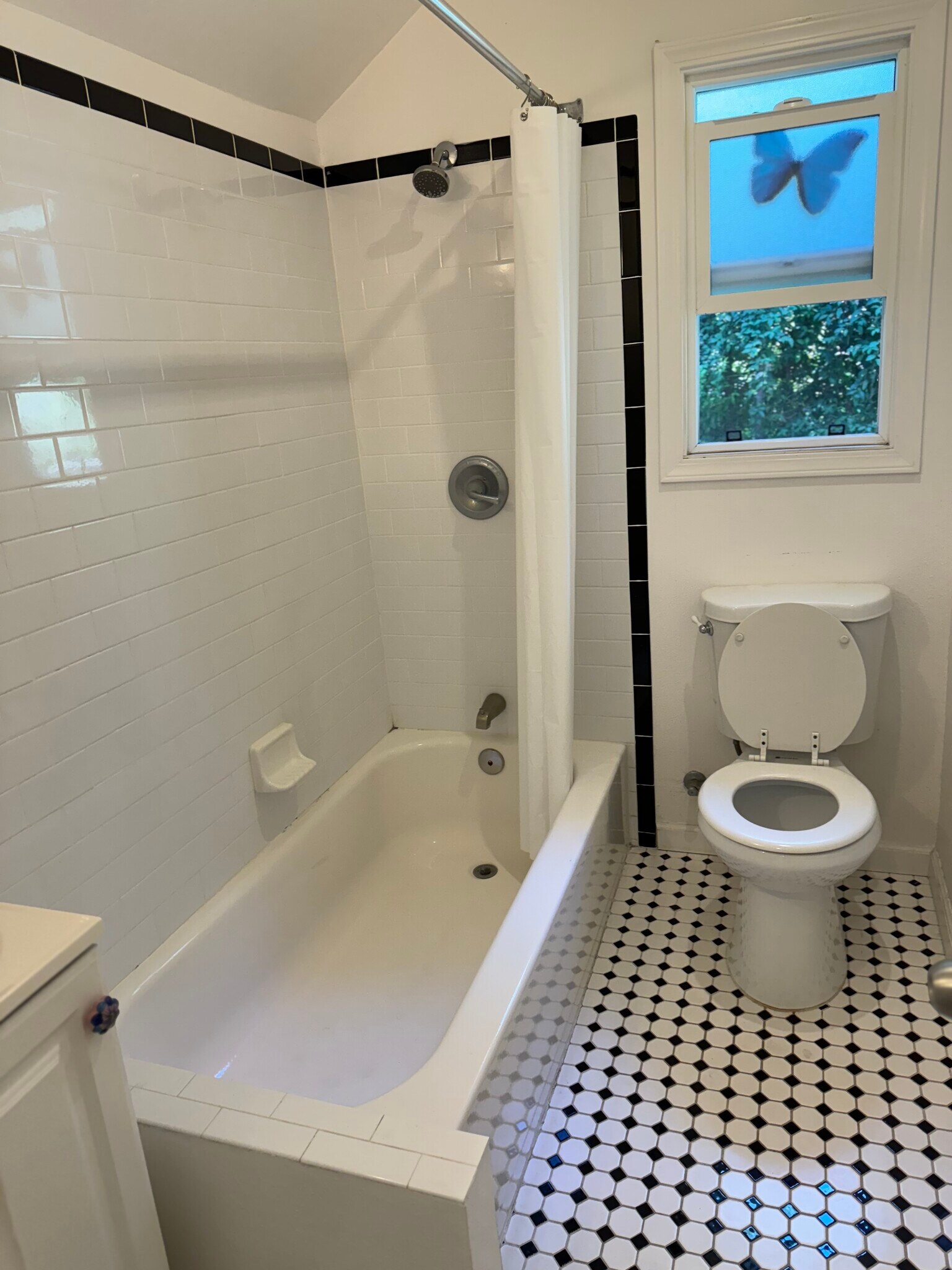 Building Photo - 345 Mount Washington Dr