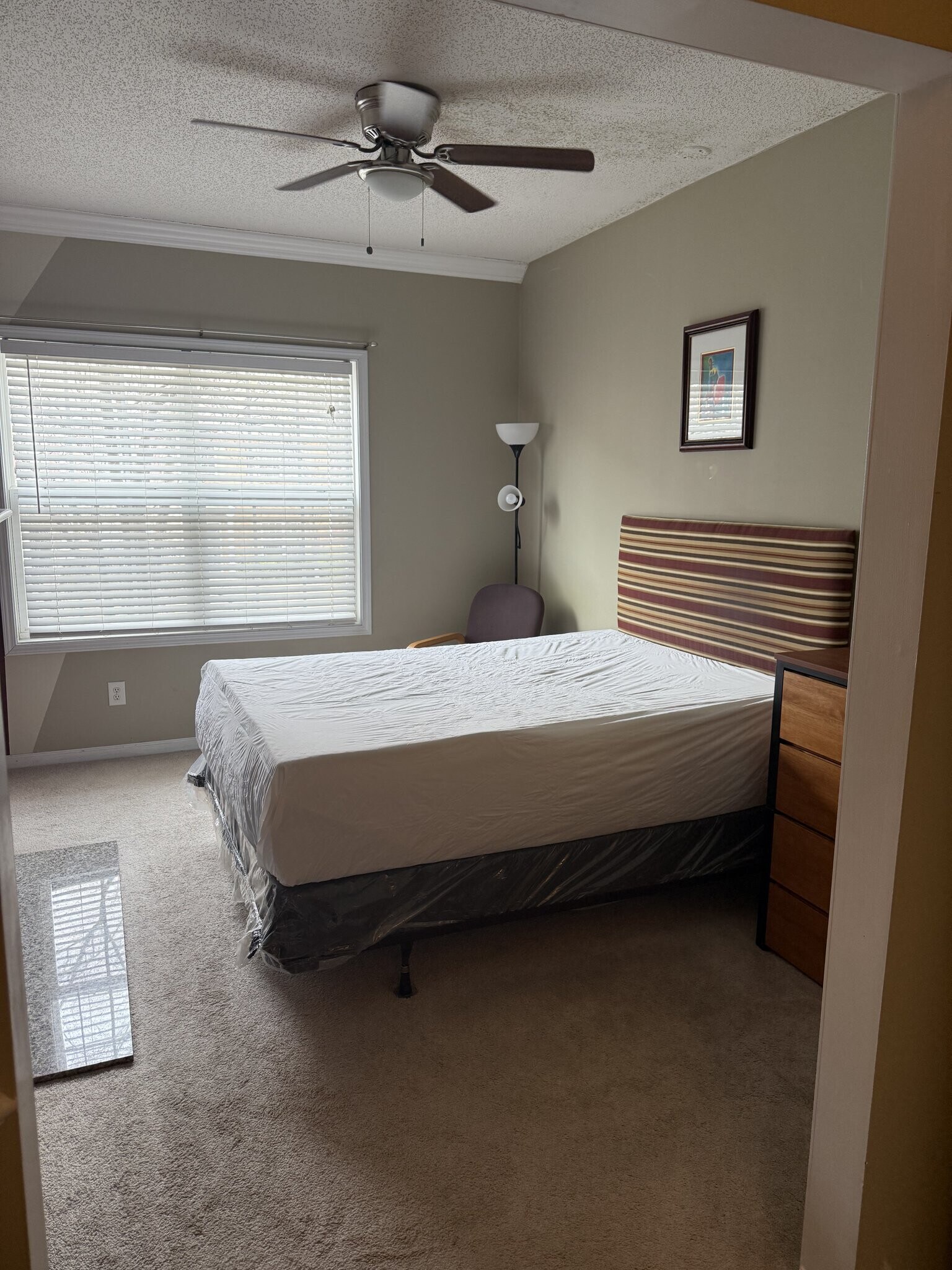 Building Photo - 6361 Olmadison Pl