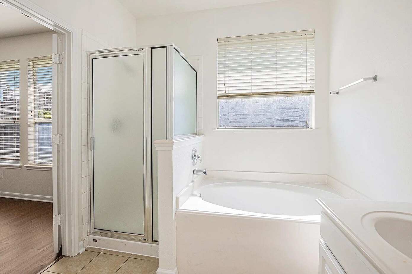 Master Shower / Bath - 7327 Boerne Creek Dr