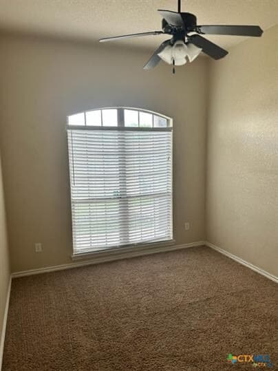 Building Photo - 2517 Vernice Dr