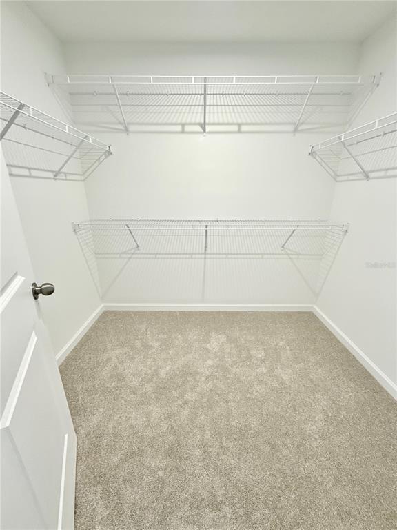 Building Photo - 1315 Tarflower Dr