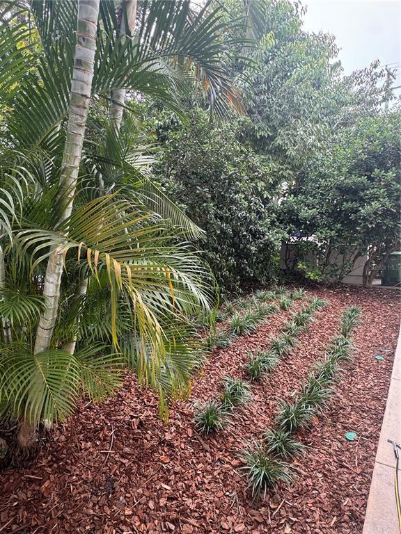 Building Photo - 331 N Trask St