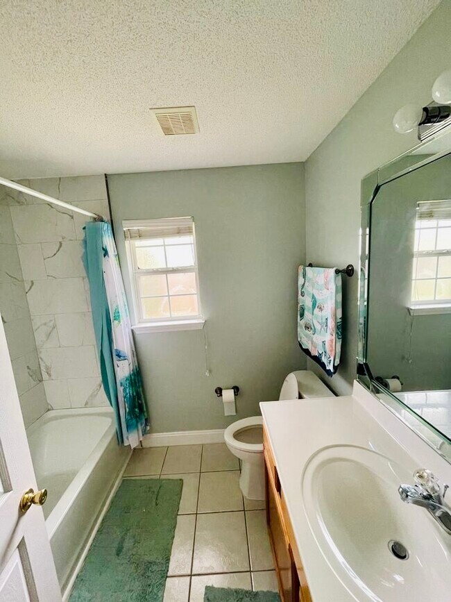 bathroom - 732 Denise Dr