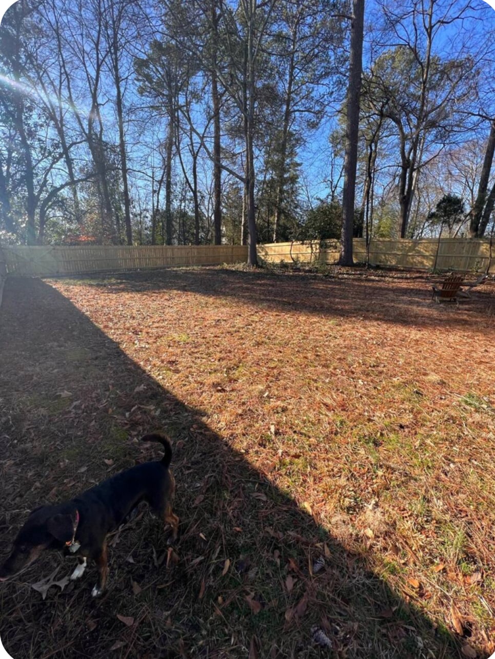 Backyard (view from porch) - 1659 Dresden Dr NE