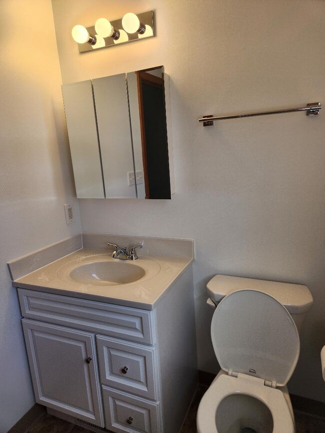 Full Bath with new flooring, vanity, sink, lighting, medicine cabinet, and toilet. - 6568 Ward Rd