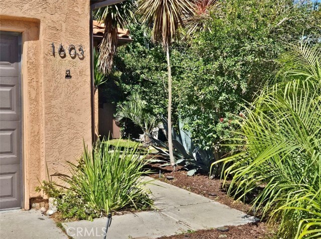 Building Photo - 1603 Calle Las Casas
