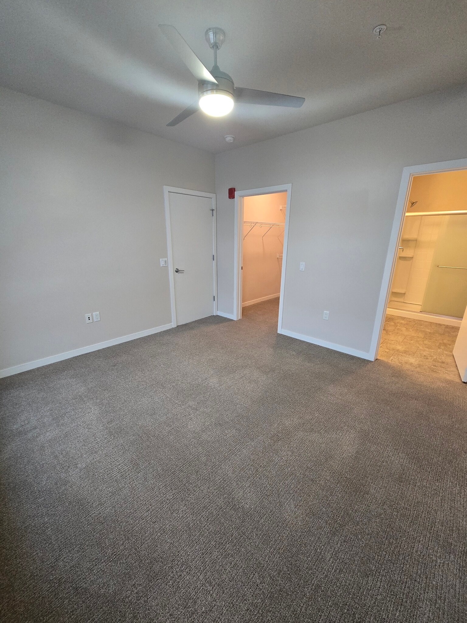 Building Photo - Luxe Apartments