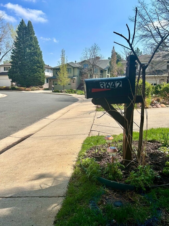 Building Photo - 3642 Larkwood Ct
