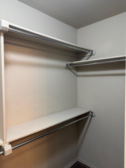 Building Photo - 3406 Bergen Peak Dr