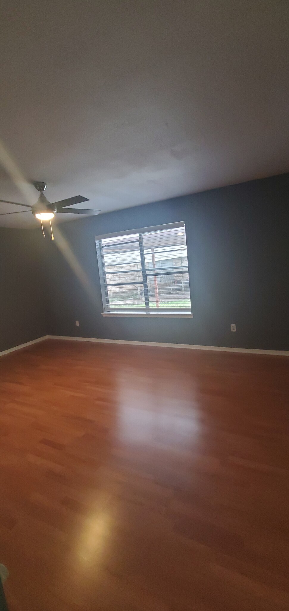 Building Photo - 7738 Staci Ct