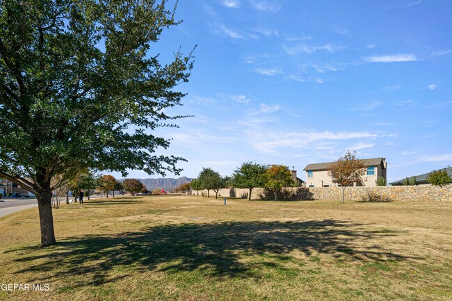 Building Photo - 11632 Mesquite Miel Dr