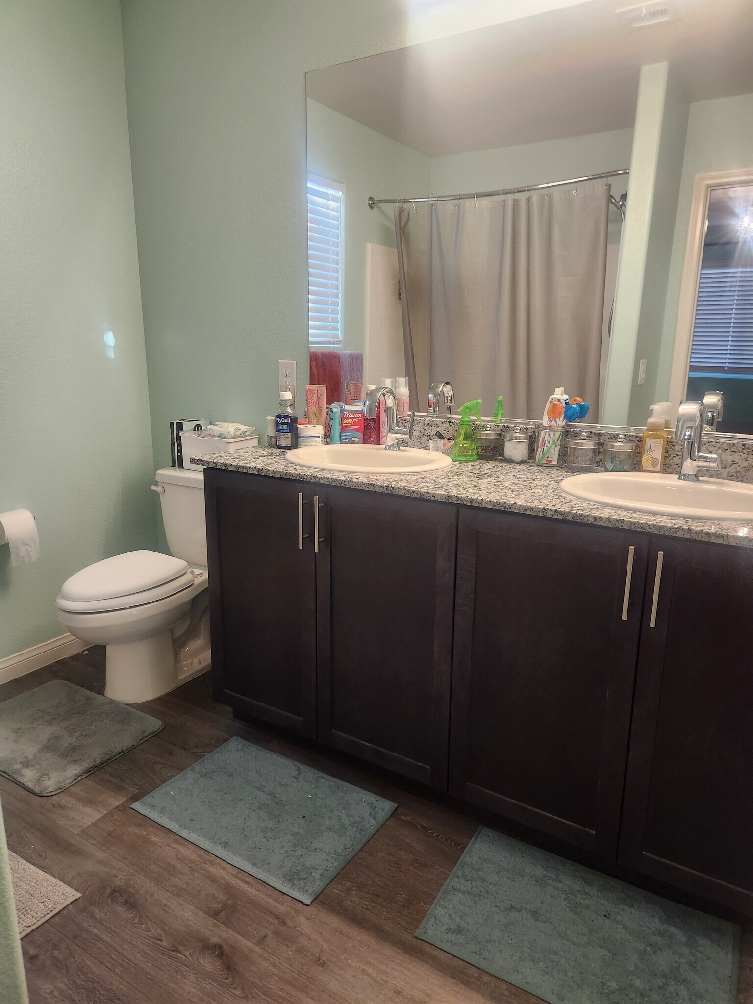 Master Bathroom - 6940 Crescent Gold St