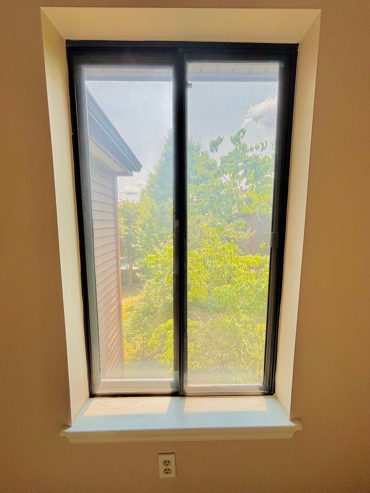 View from Office - 2807 Lee Oaks Ct
