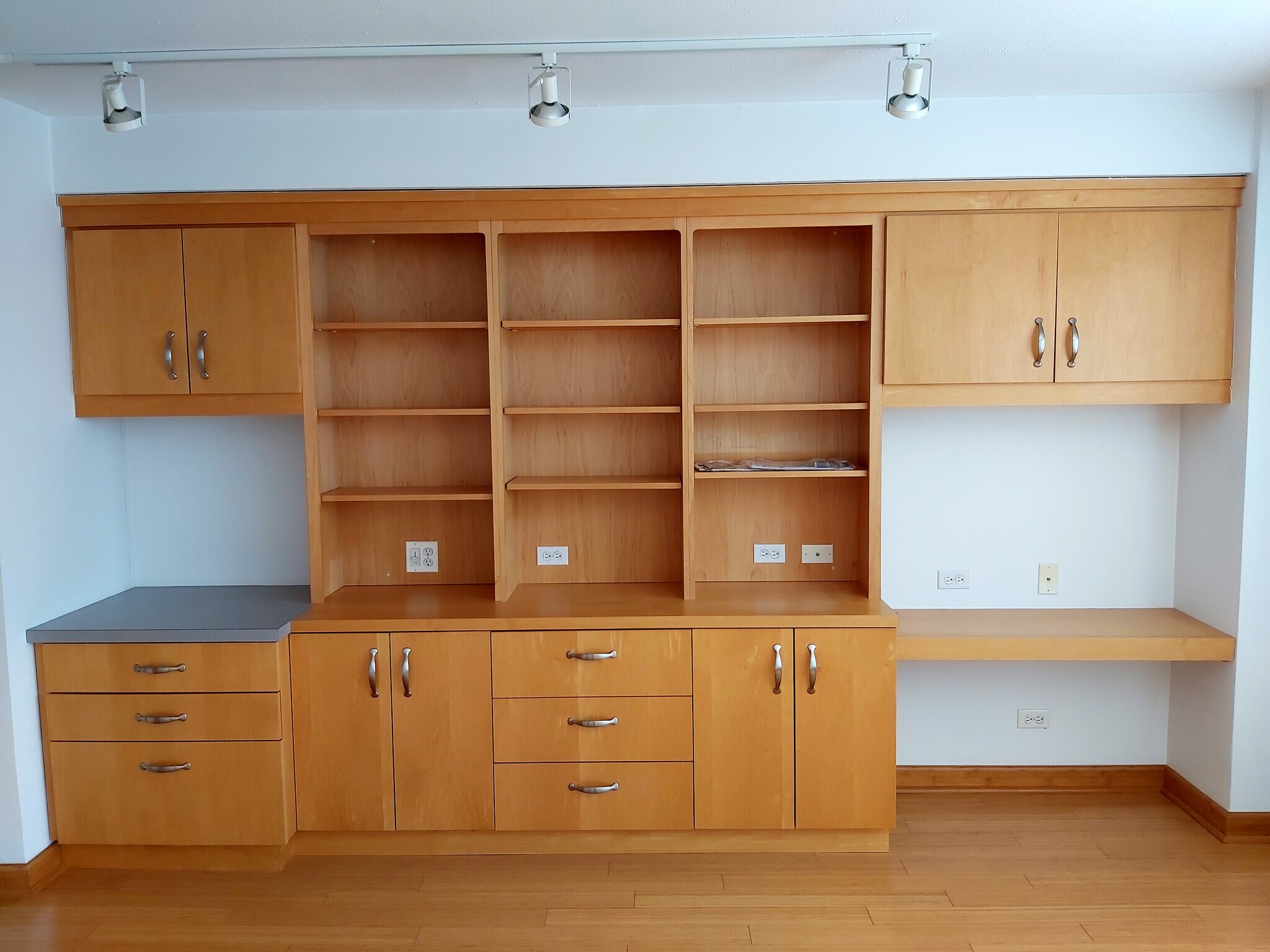 Living room - 3100 N Lake Shore Dr