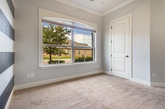 Building Photo - 1304 Venezia Ln