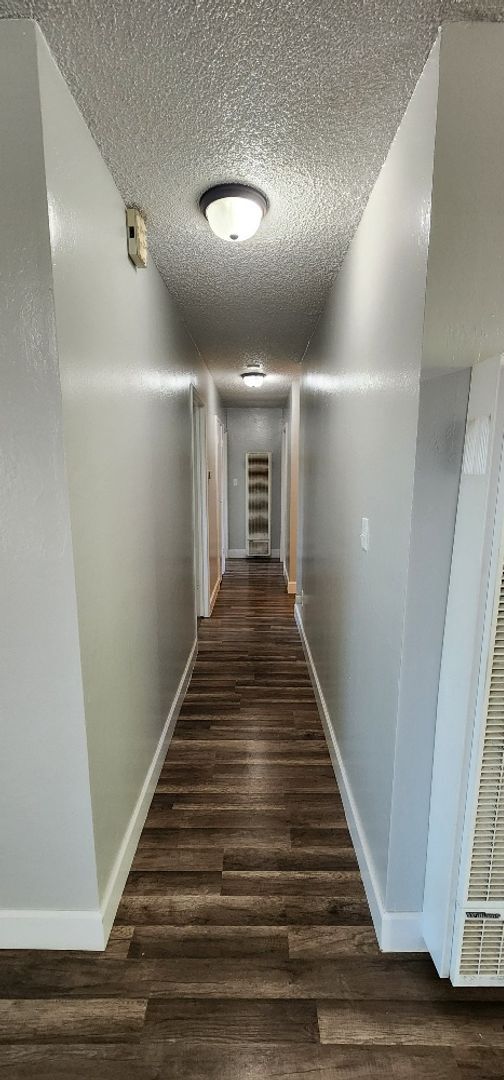 Building Photo - Completely Renovated 3 Bedroom 2 Full Bath...