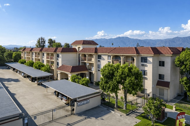 Building Photo - Flamingo Garden Senior Apts