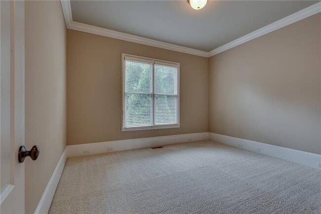 Building Photo - 3924 Sweat Creek Run NE