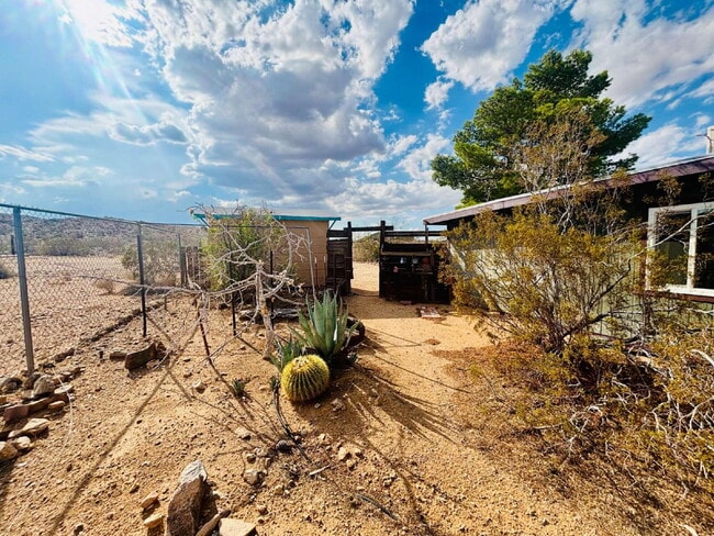 Building Photo - Joshua Tree Cabin in Peaceful, Wide Open Space!
