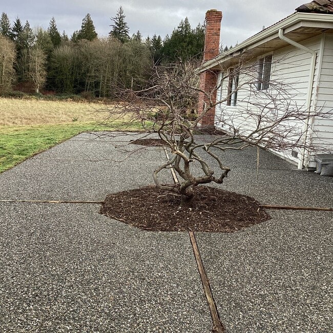 Building Photo - Ranch Style Rambler located in Stannwood