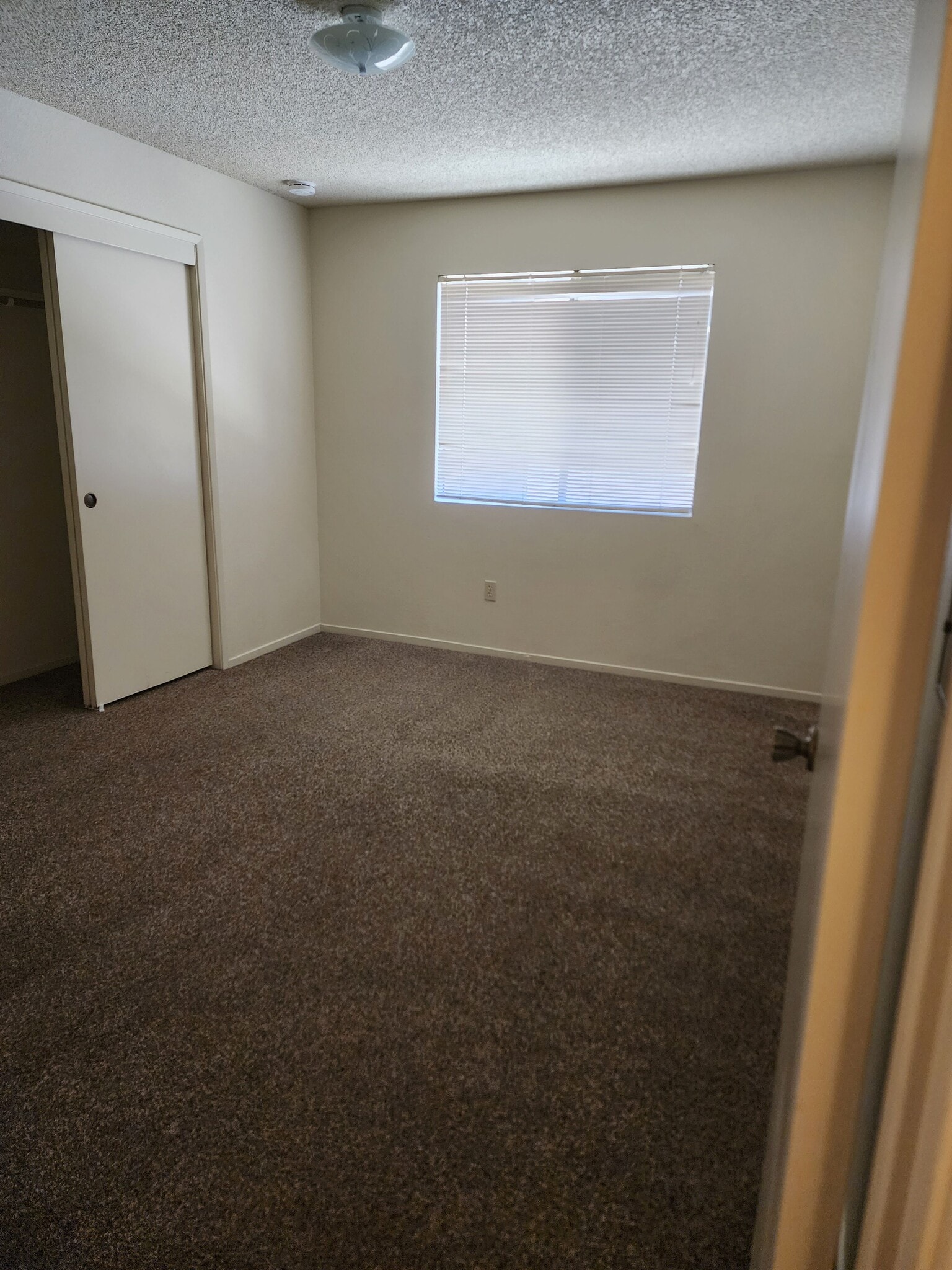 Building Photo - 5913 Auburn Oaks Dr