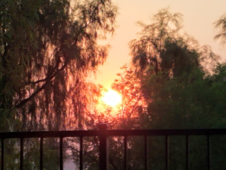 Morning sunrise from patio - 40296 Calle Ebano