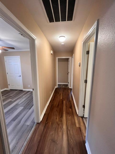 Building Photo - 13330 Water Oak Ln