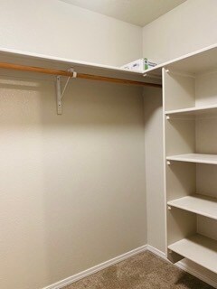 Building Photo - 13513 Palm Beach Dr