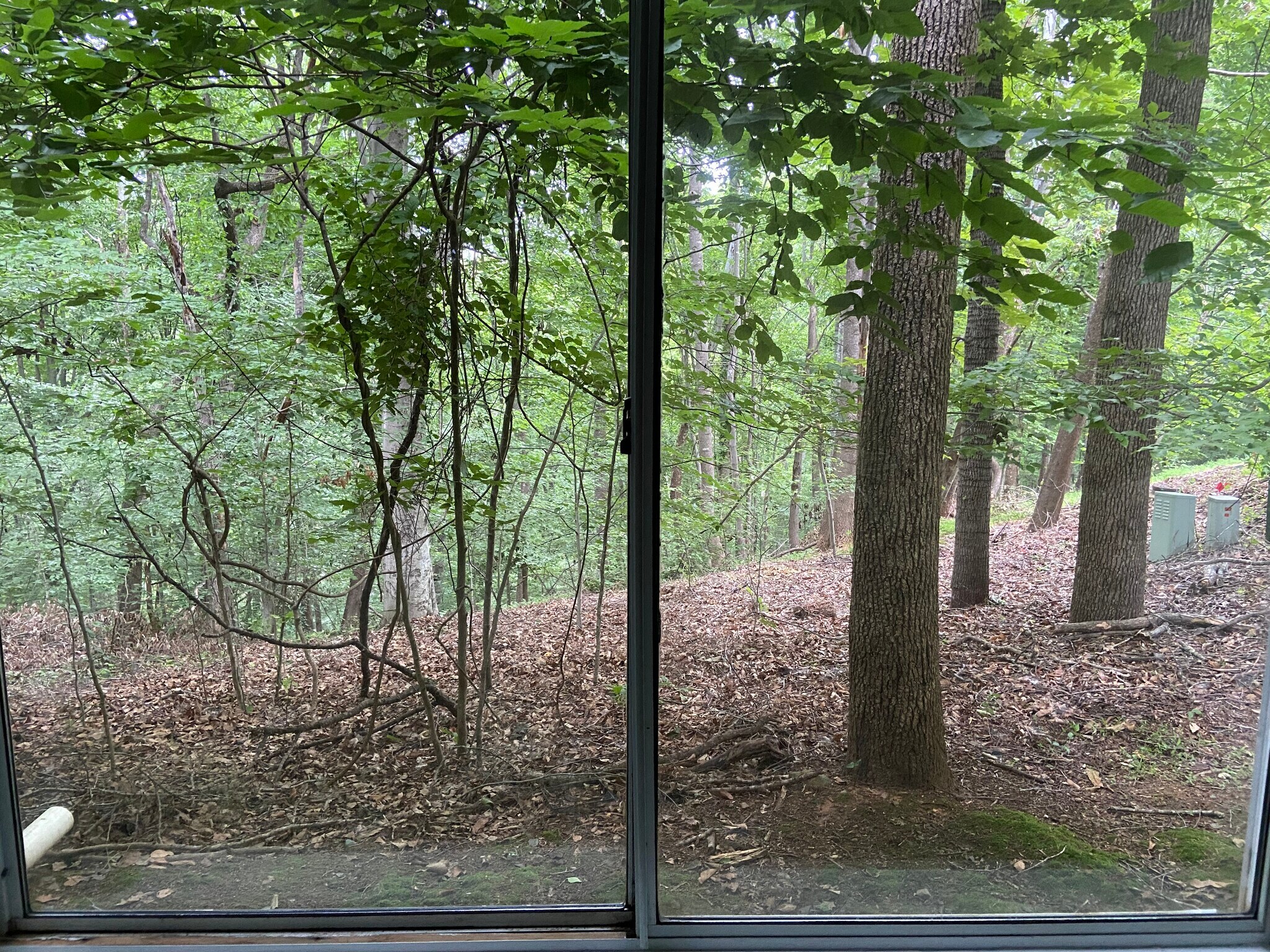 Building Photo - 1286 Clifden Grn