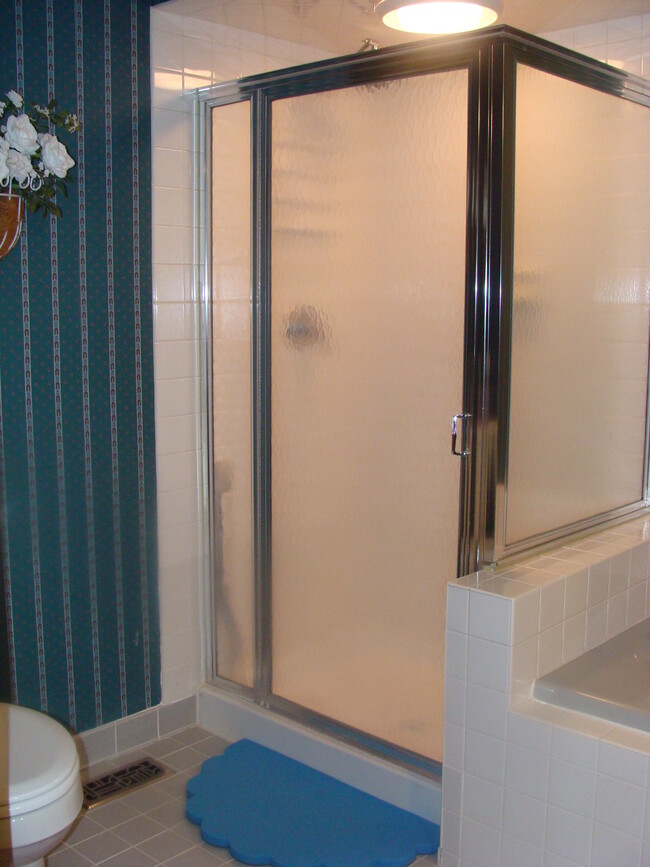 Master Shower - 357 Greenfield Rd