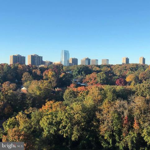 Building Photo - 4500 S Four Mile Run Dr