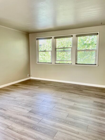 Airy living room - 2934 2nd Ave N