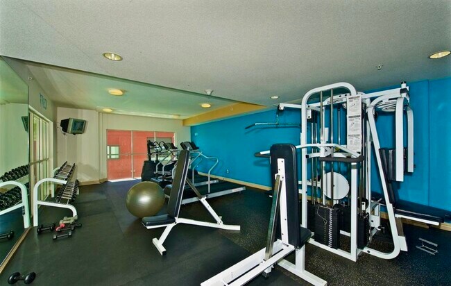 Gym - 1240 India St