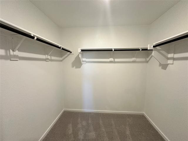 Building Photo - 3609 Oleander Pl