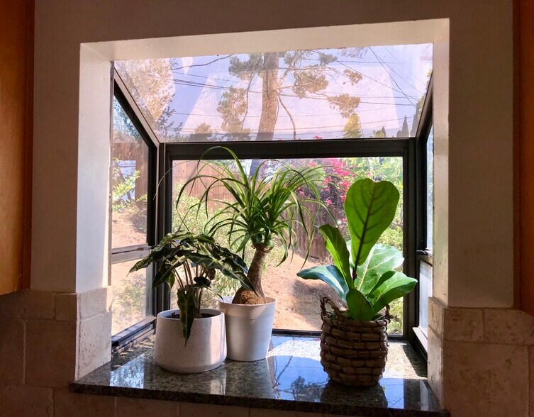 Kitchen window atrium - 3161 Weldon Ave