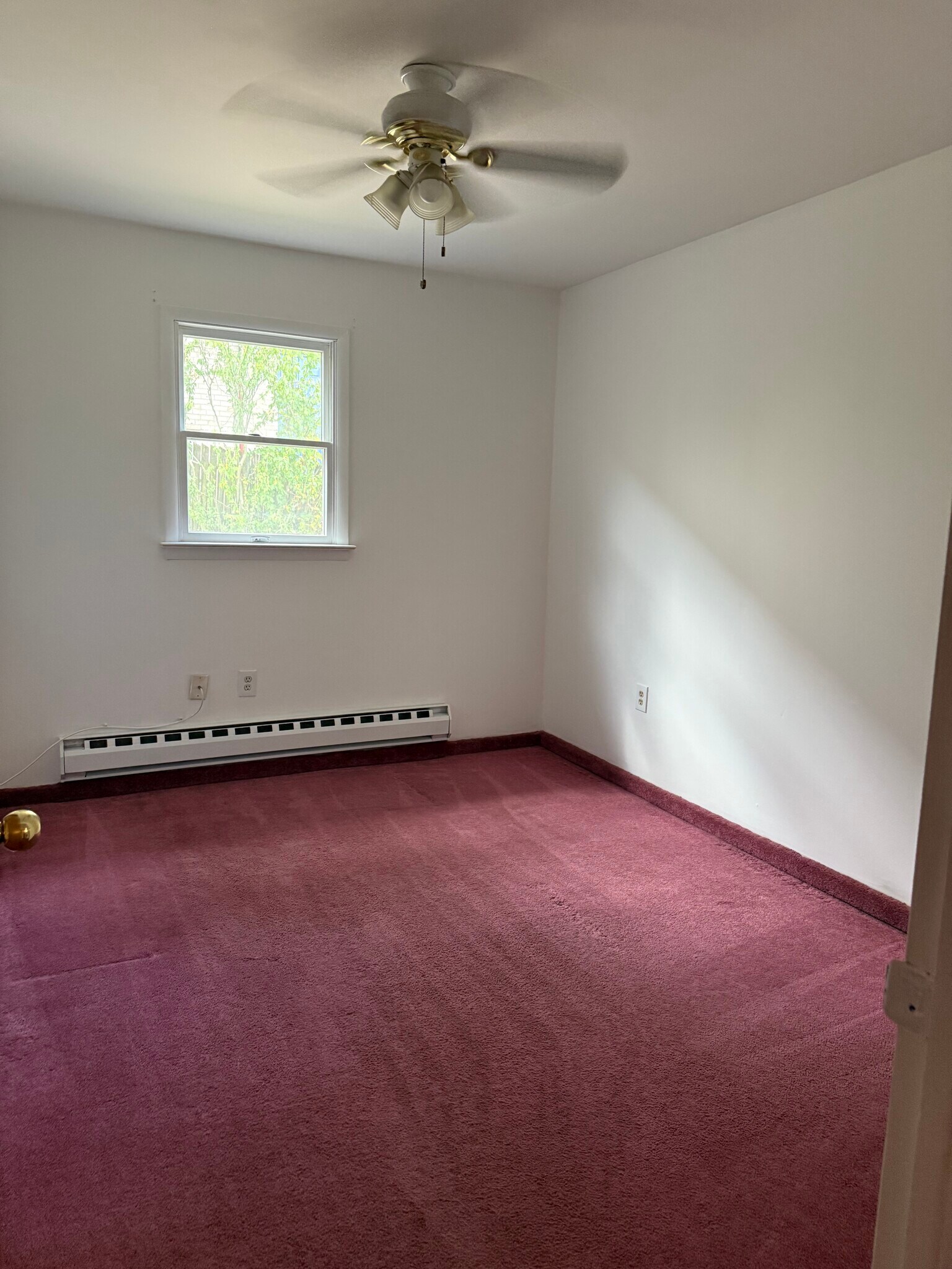 Building Photo - 251 Davis Ave