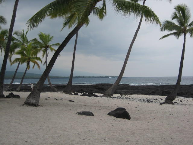 Building Photo - 87-2439 Mamalahoa Hwy