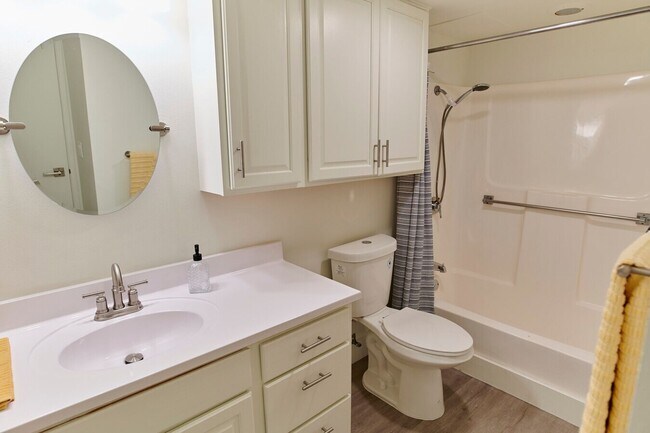 Building Photo - Studio Premium