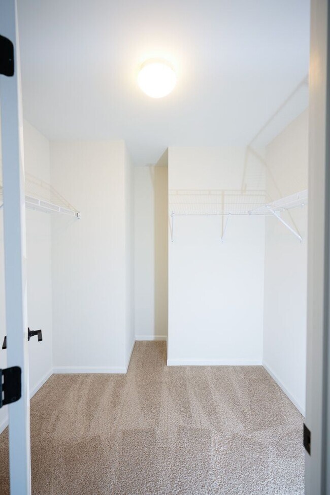 Building Photo - 245 Hollyhock Dr
