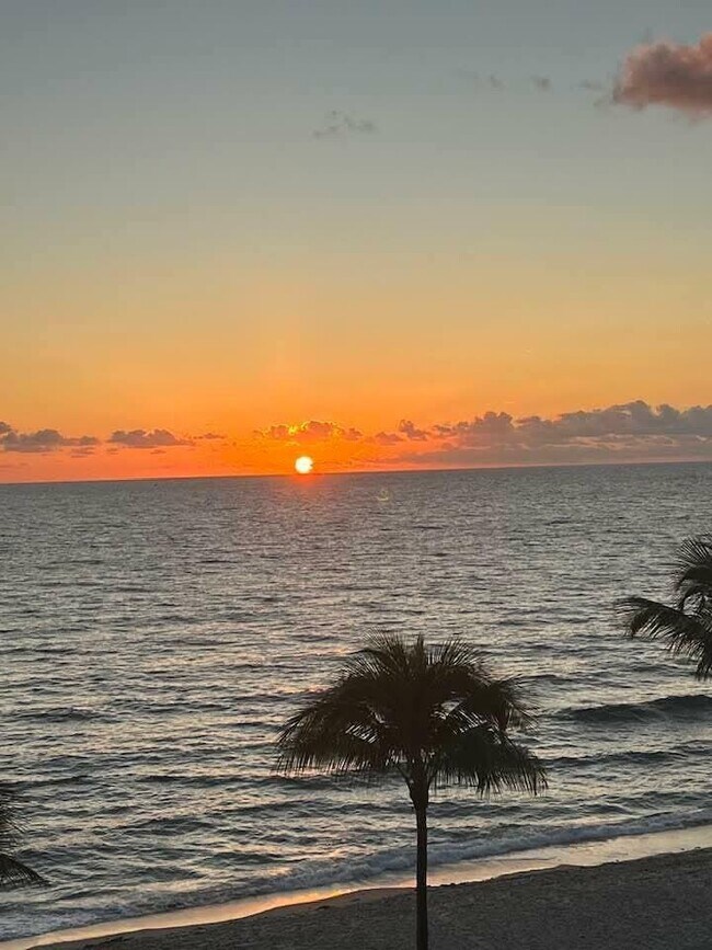 Building Photo - 1161 Hillsboro Mile