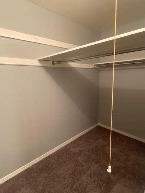 Building Photo - 8908 Viking Dr