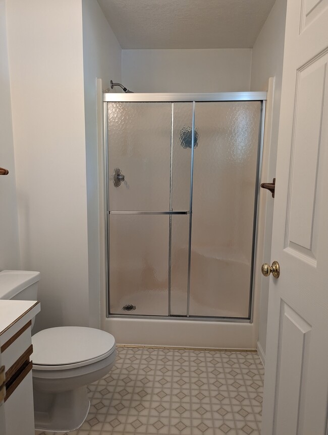 Master Bathroom - 414 Willow St