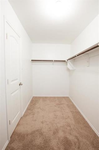 Building Photo - 2117 Shady Glen Trail