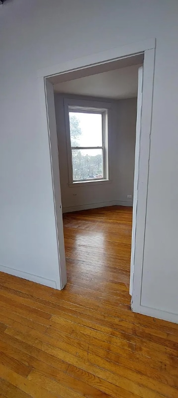 Building Photo - 1242 S Albany Ave